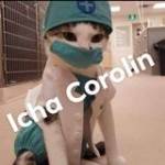 Icha Corolin Profile Picture