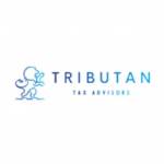 Tributan Tax Advisor Profile Picture