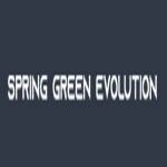 Spring Green Evolution Profile Picture