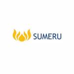 Sumeru Inc Profile Picture