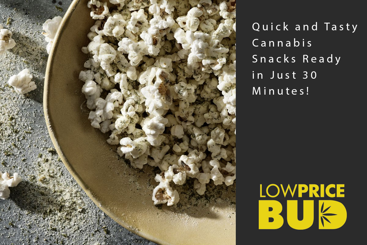 Quick and Tasty Cannabis Snacks Ready in Just 30 Minutes! - Low Price Bud