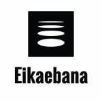 eikaebana Profile Picture