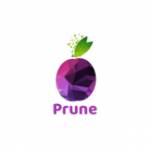 Prune digital consumer solutions pvt. Profile Picture