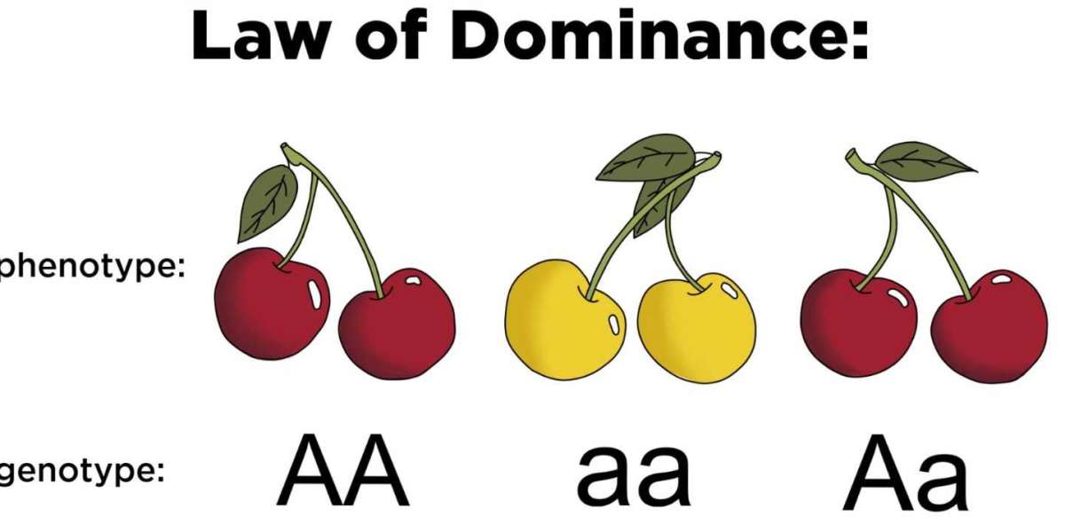 Mastering Leadership: 53 Rules of Dominance