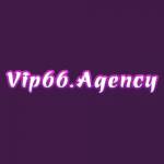 Vip66 Agency profile picture