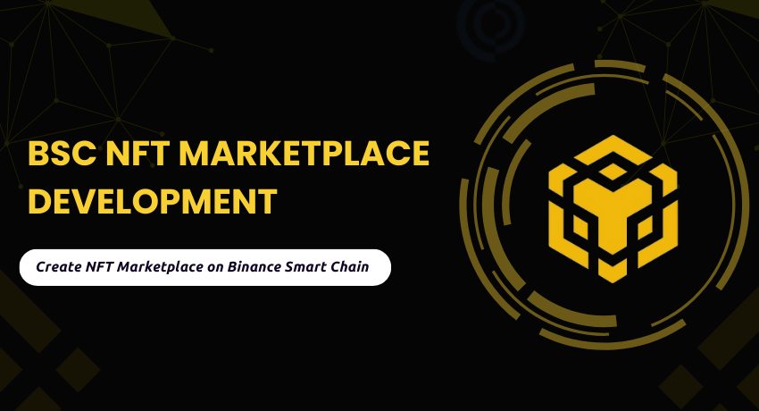 BSC NFT Marketplace Development - A Startup Guide | Coinmonks